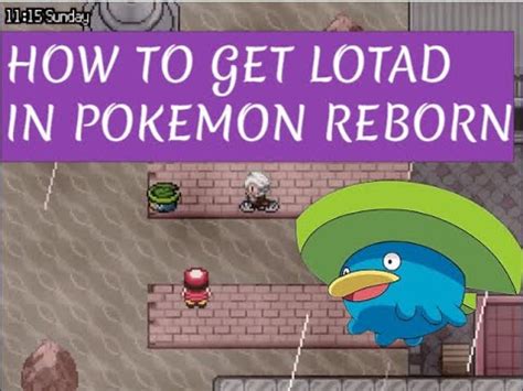 lotad pokemon reborn.